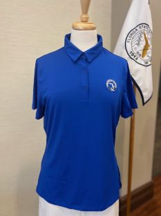 Picture of UA Wmns Polo - Blue